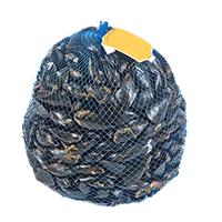 Cozze di Sardegna