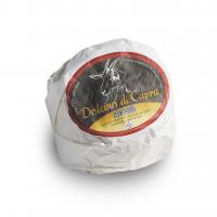 Dolcino di Capra