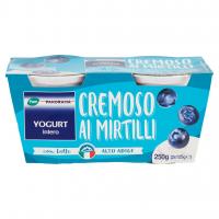 Yogurt Intero Cremoso ai Mirtilli  (125g x 2)