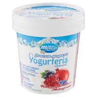 Yogurteria o Frozen Yogurt Ribes, Mirtillo e Melograno