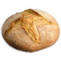 Pugliesino