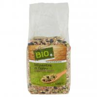 Minestra di Farro