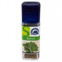 Salvia