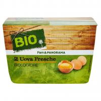 Fresche Logiche