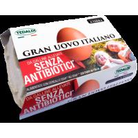 Granuovo Tedaldi X6