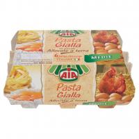 Pasta Gialla da Galline Allevate a Terra  Fresche Medie