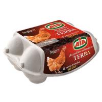 Uova Medie Terra Aia