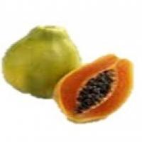 Papaya Top Via Aerea
