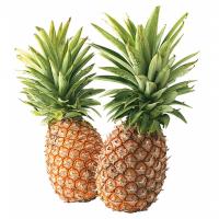 Ananas Via Aerea A6