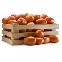 Pomodoro Perino Insalatieri