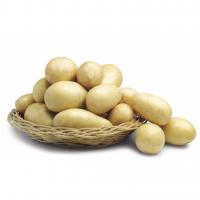 Patate T.Usi 40/60