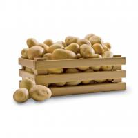 Patate 40/60 Pure Gnocchi
