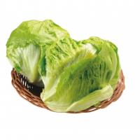 Insalata Iceberg Pronta per il Consumo