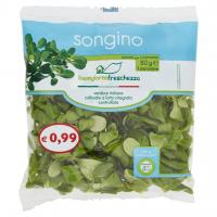 Songino Buongiorno Freschezza