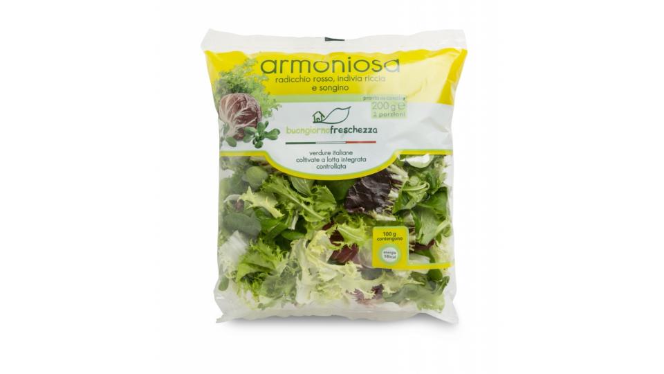 Armoniosa Micela di Insalate