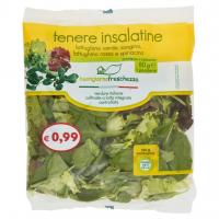 Tenere Insalatine Buongiorno Freschezza