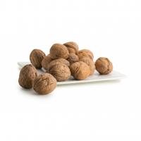 Noci 1kg S/c