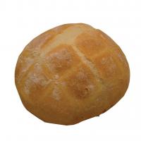 Tartaruga 