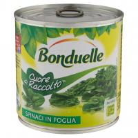 Cuore di Raccolto Spinaci in Foglia