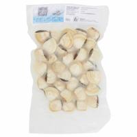Vongole del Pacifico con Guscio Cotte Congelate 500 g