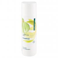 Shampoo Ylang Ylang, Miele Delicato