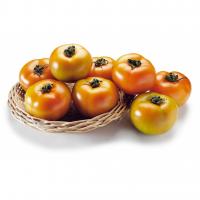 Pomodoro Tondo Insalatar.67/87