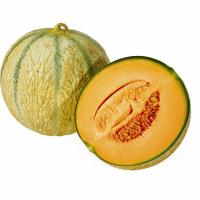 Bio-melone Retato P&p