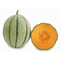 Melone Retato P& p