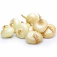 Cipolle Bianche Testa