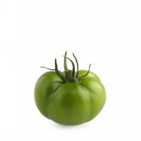 Pomodoro Tondo Verde 