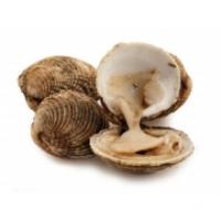 Tartufi