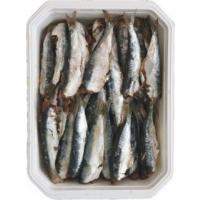 Sardine Salate