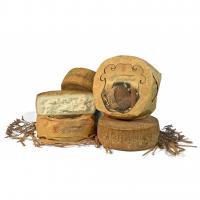 Pecorino Scoperino