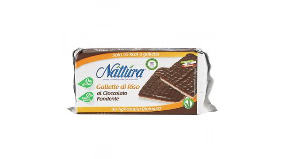 GALLETTE RISO CIOCCOLATO BIO S/G